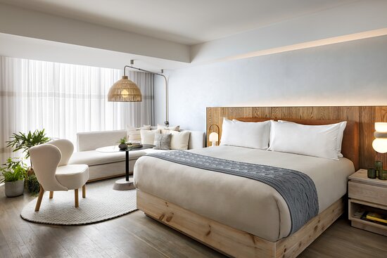 hotel-1-hotel-toronto-penginapan-ramah-lingkungan-di-pusat-kota